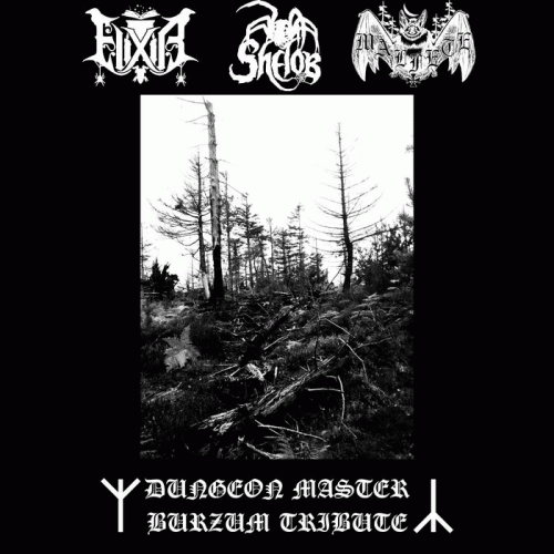 Burzum : Dungeon Master Burzum Tribute